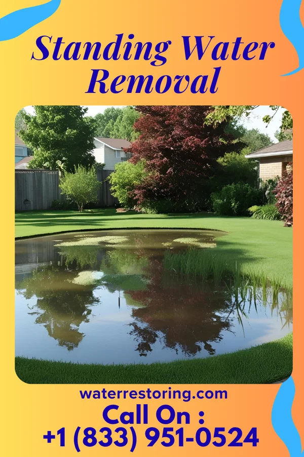 Standing Water Removal in Lakeway, TX